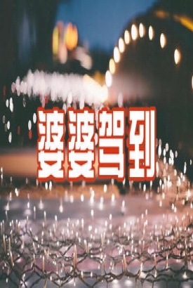 婆婆驾到 婆婆驾到