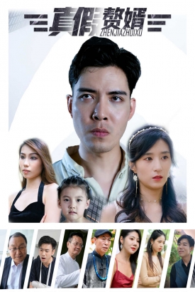 真假赘婿 真假赘婿