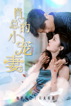 肖总的小宠妻 肖总的小宠妻