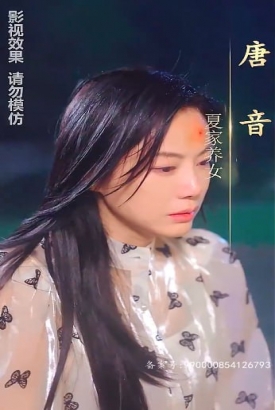 沈总别虐了,夫人她没了 沈总别虐了,夫人她没了