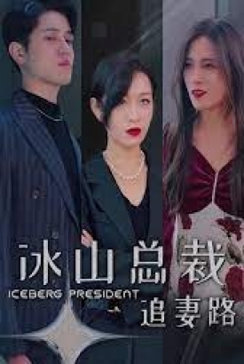 冰山总裁追妻路 冰山总裁追妻路
