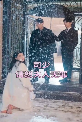 司少,请恕夫人无罪 司少,请恕夫人无罪