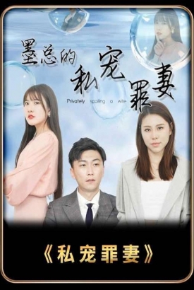 墨总的私宠罪妻 墨总的私宠罪妻
