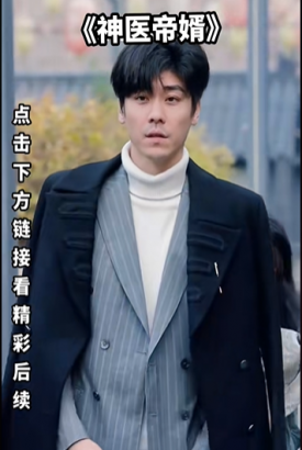 神医帝婿 神医帝婿