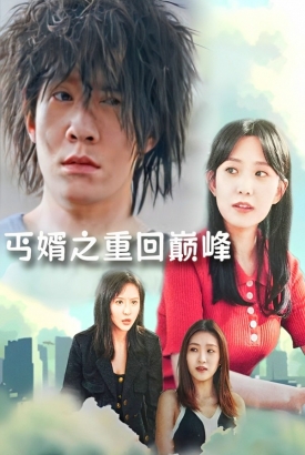 丐婿之重回巅峰 丐婿之重回巅峰