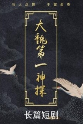 大魏第一神探 大魏第一神探