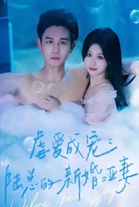 虐爱成宠:陆总的新婚哑妻 虐爱成宠:陆总的新婚哑妻