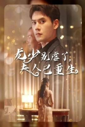 龙少别虐了夫人已重生 龙少别虐了夫人已重生
