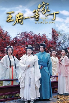 王府一等家丁 王府一等家丁