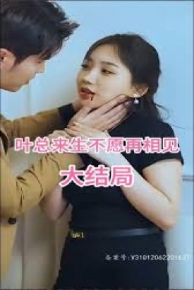 叶总来生不愿再相见 叶总来生不愿再相见